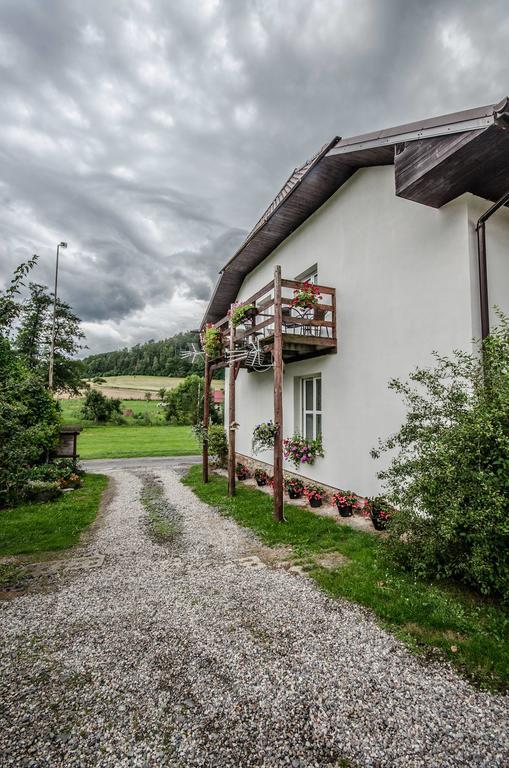 Romanowka Oldrzychowice Klodzkie Exterior photo